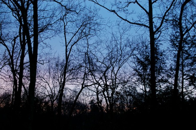 Red Sky in Morning..